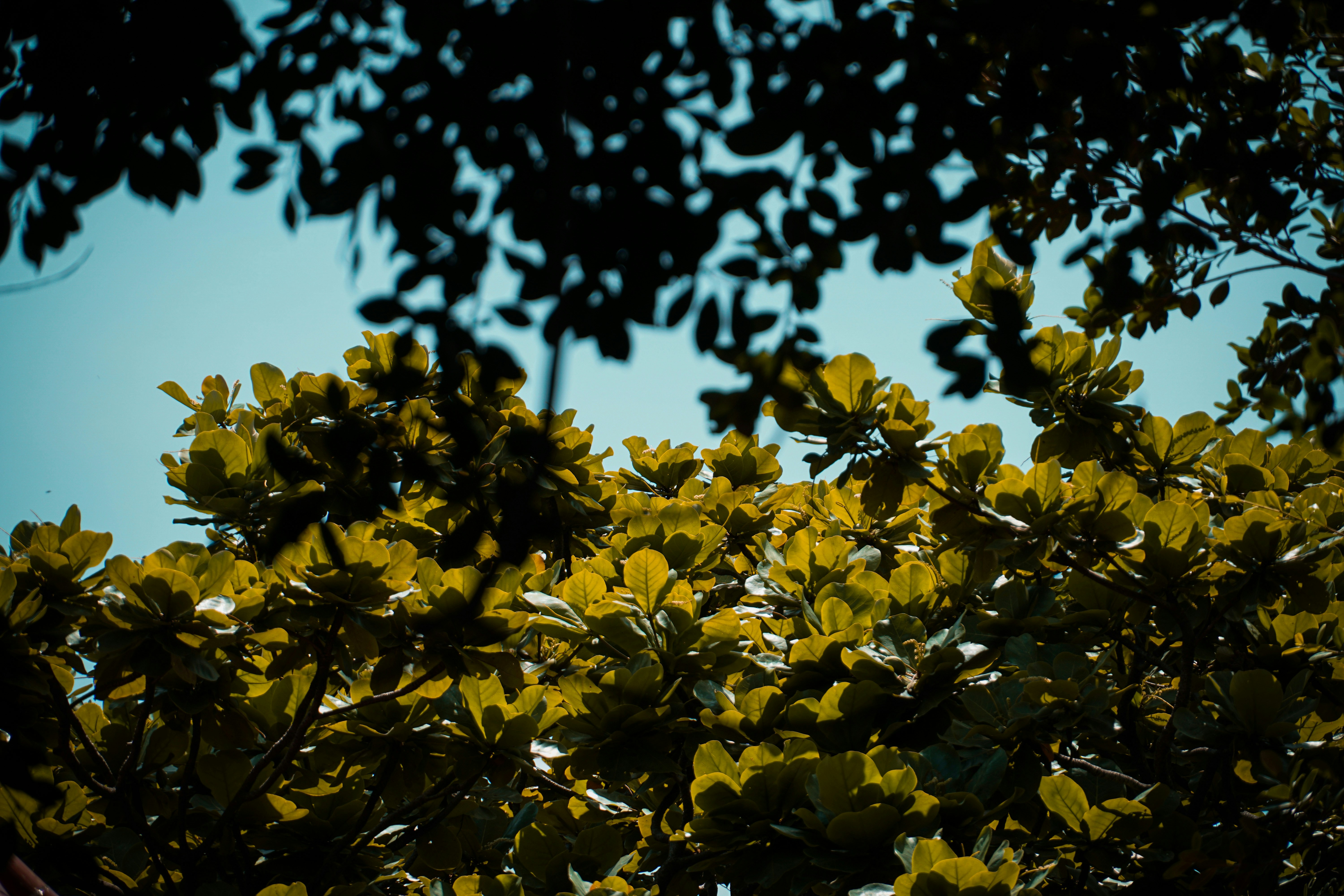 Photo by 502joe