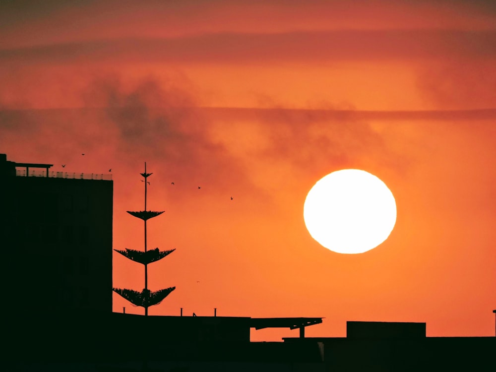 silhouette of birds flying over the building during night time