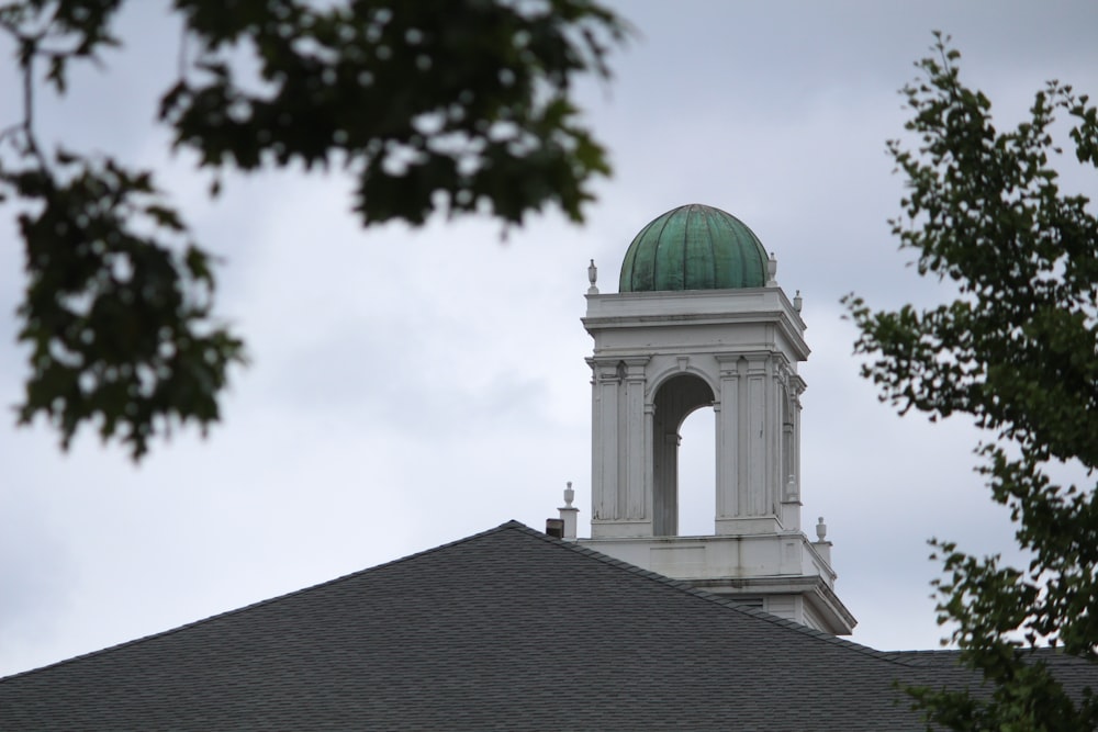 Edificio a cupola verde sotto il cielo bianco durante il giorno