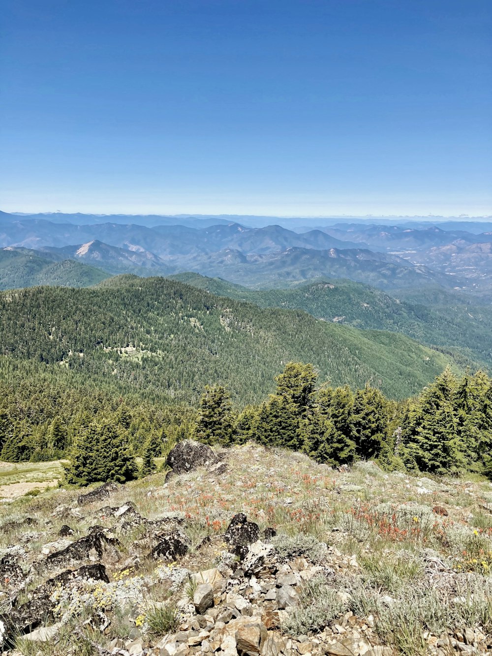 green trees on mountain under blue sky during daytime