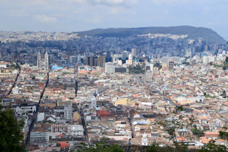 aerial view of city during daytime
