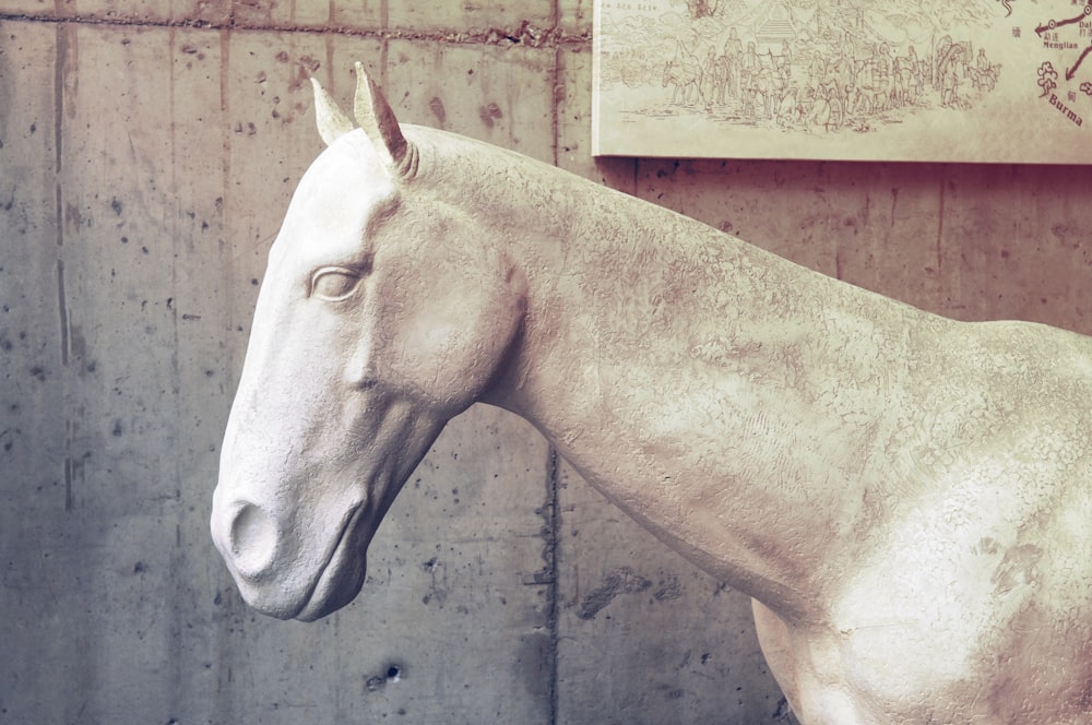 cheval blanc devant le mur brun