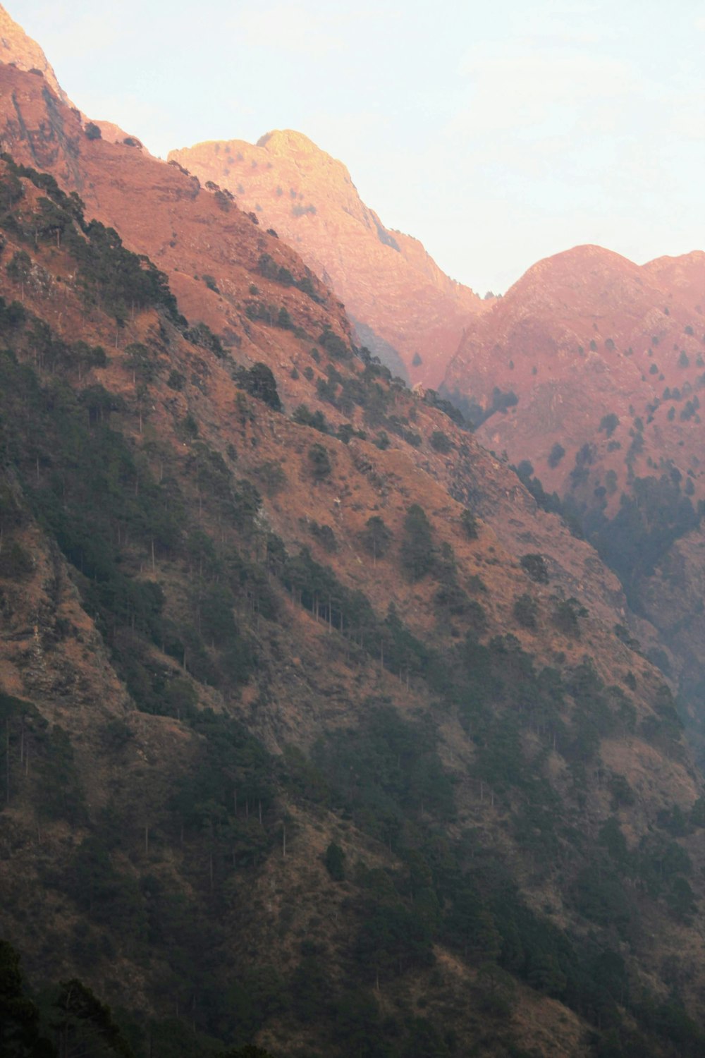 brown and green mountains during daytime