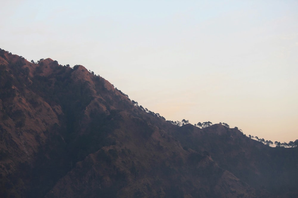 brown and green mountain under white sky during daytime