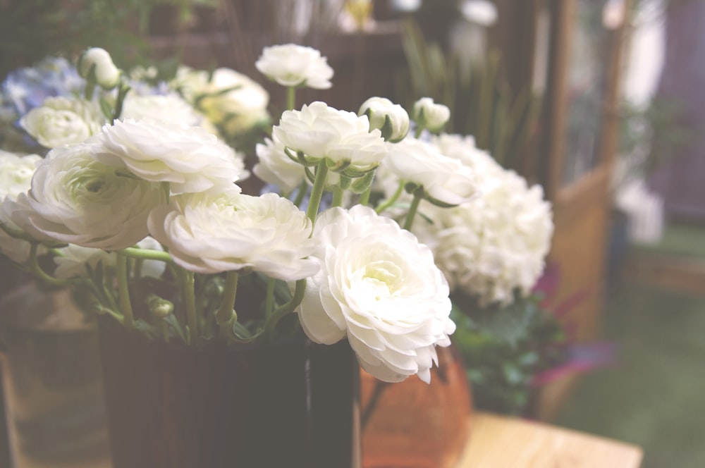 flores blancas en frasco de vidrio negro