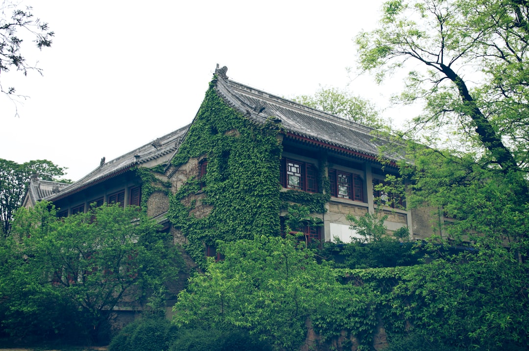 brown and white concrete building surrounded by green trees during daytime