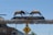 Two large elk statues are positioned on top of an arch made entirely of elk antlers. The sign reads 'Afton Wyoming' with an additional plaque stating 'World's Largest Elkhorn Arch'. Below, a pedestrian crossing sign is visible. The scene is set under a clear blue sky with some rustic buildings and greenery in the background.