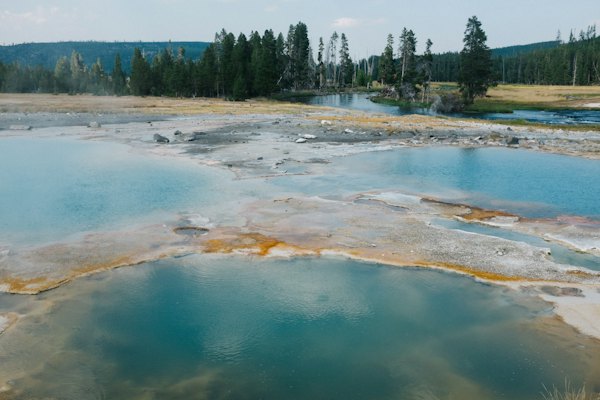 Green trees beside river during daytime — Yellowstone, United States