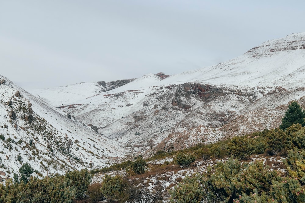 snow covered mountain during daytime