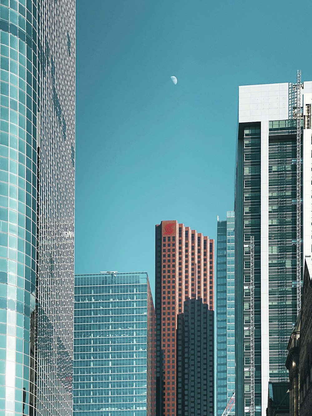 white and blue high rise buildings under blue sky during daytime