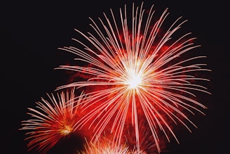 red and yellow fireworks during nighttime