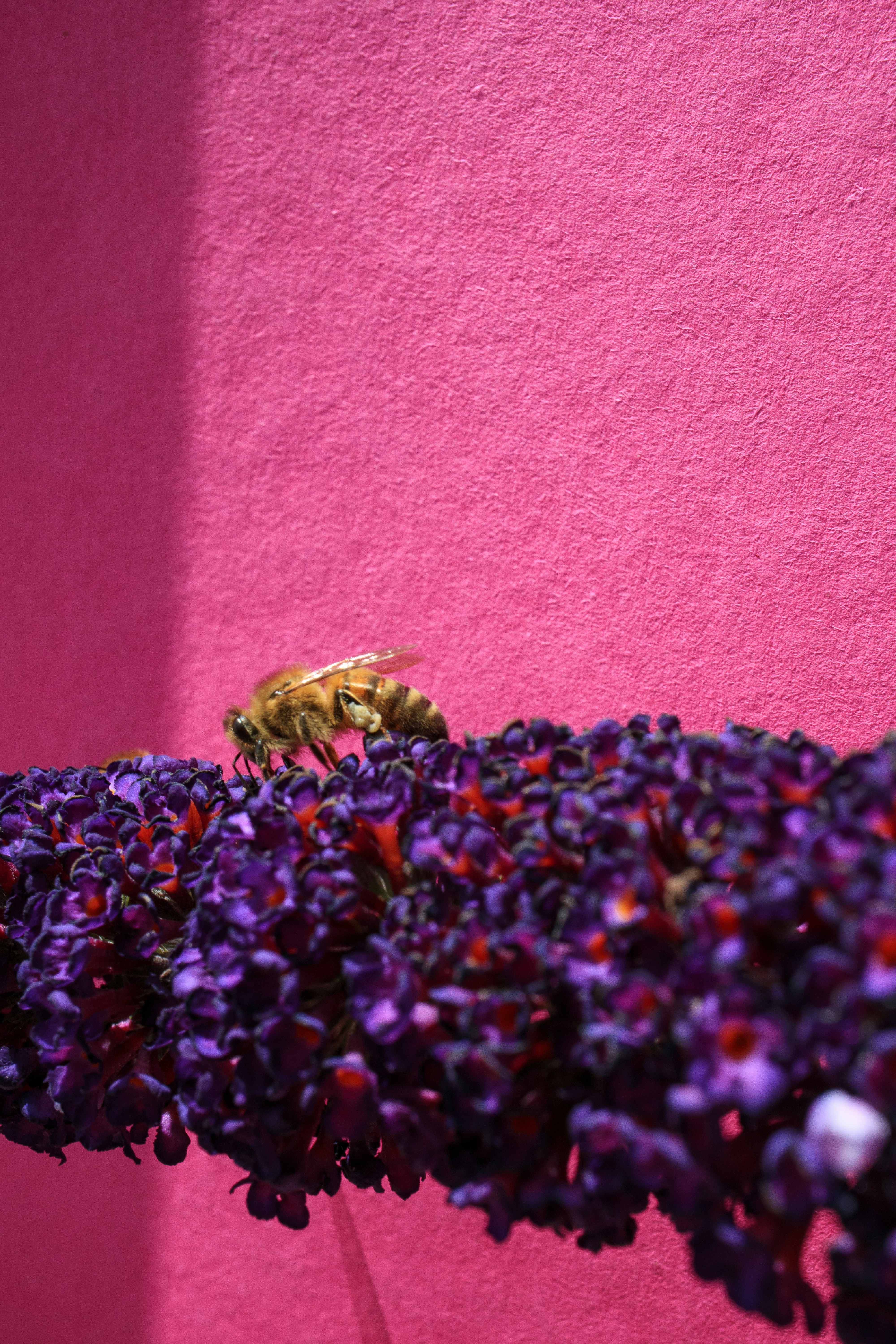 Photo by grievek1610begur