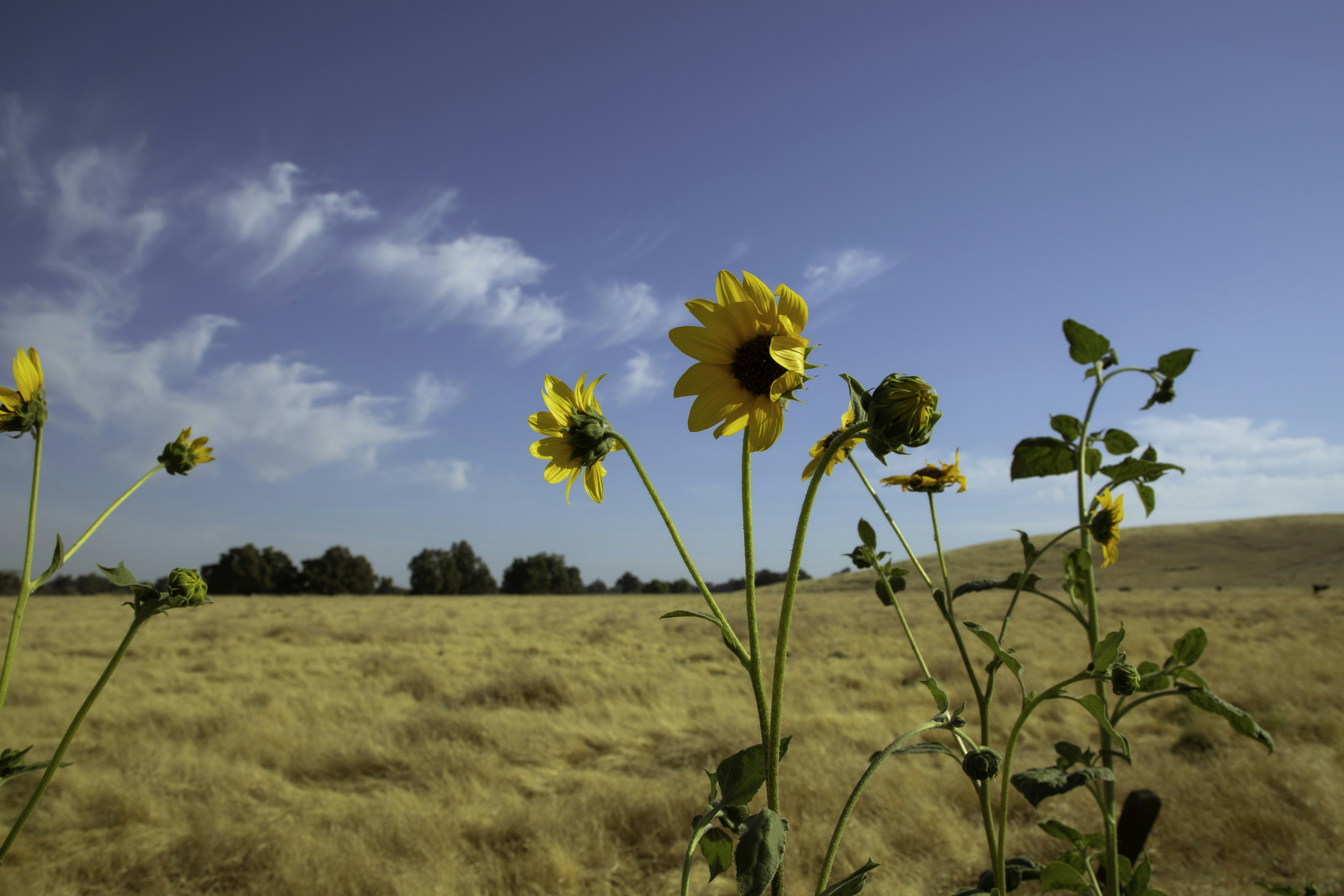 Photo by capturedbyjavi