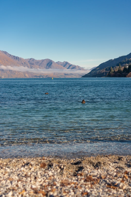 person in body of water near mountains during daytime in Lake Wakatipu New Zealand