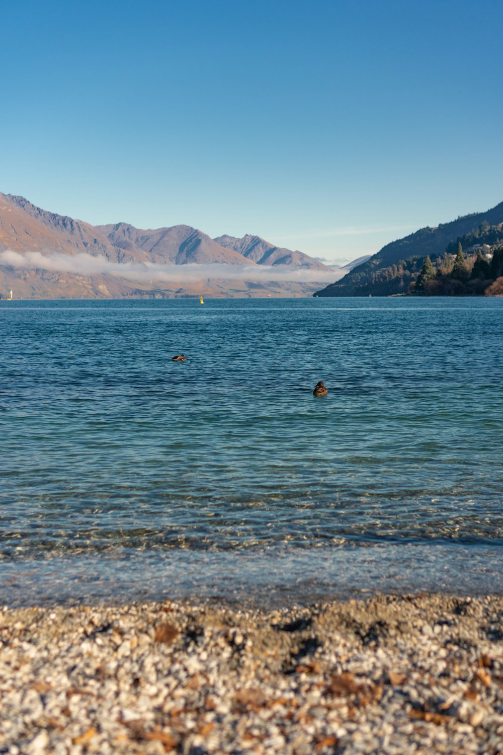 person in body of water near mountains during daytime