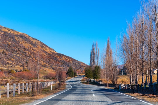 gray asphalt road between brown trees under blue sky during daytime in Otago New Zealand