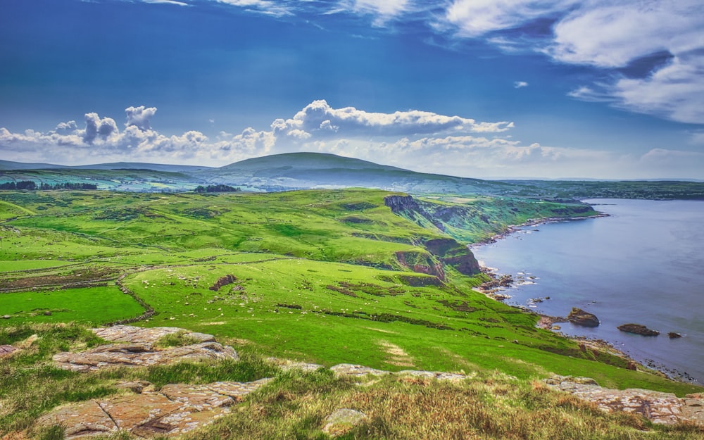 green grass field near body of water under blue sky during daytime