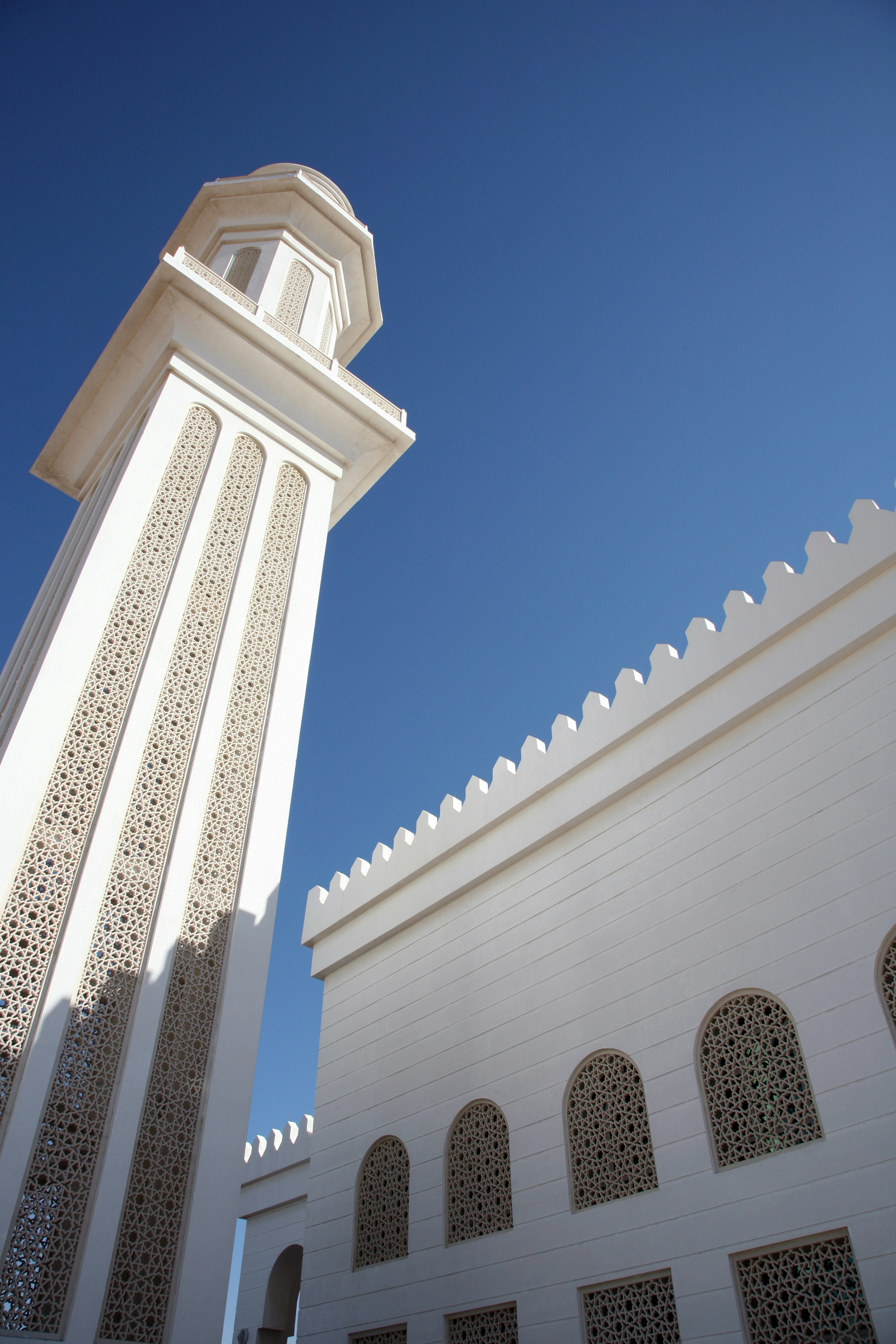 Photo by saj_shafique