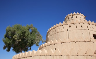 a tree in front of a castle like structure