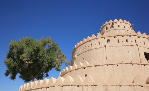 a tree in front of a castle like structure