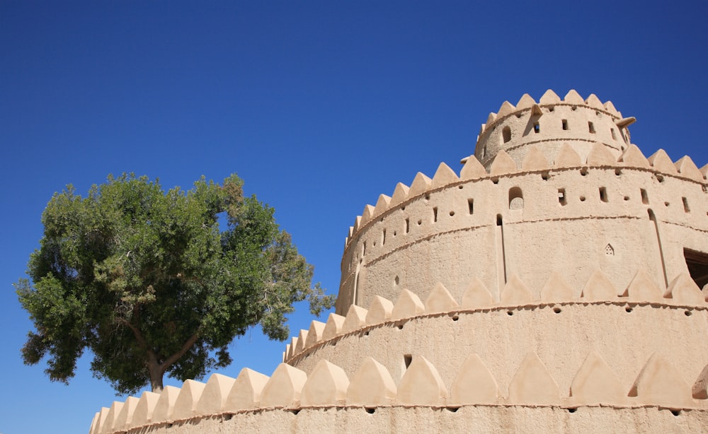 a tree in front of a castle like structure