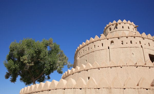 Tree at Al Ain heritage site, United Arab Emirates