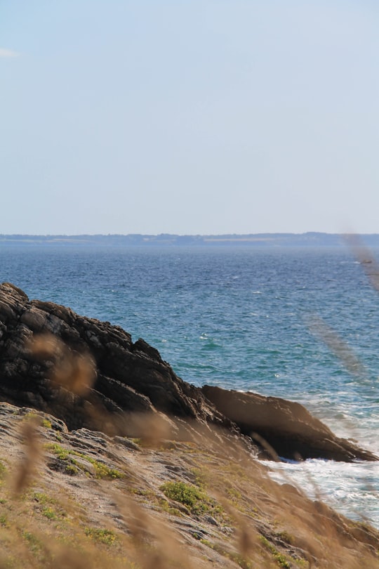 brown rock formation near body of water during daytime in Quiberon France