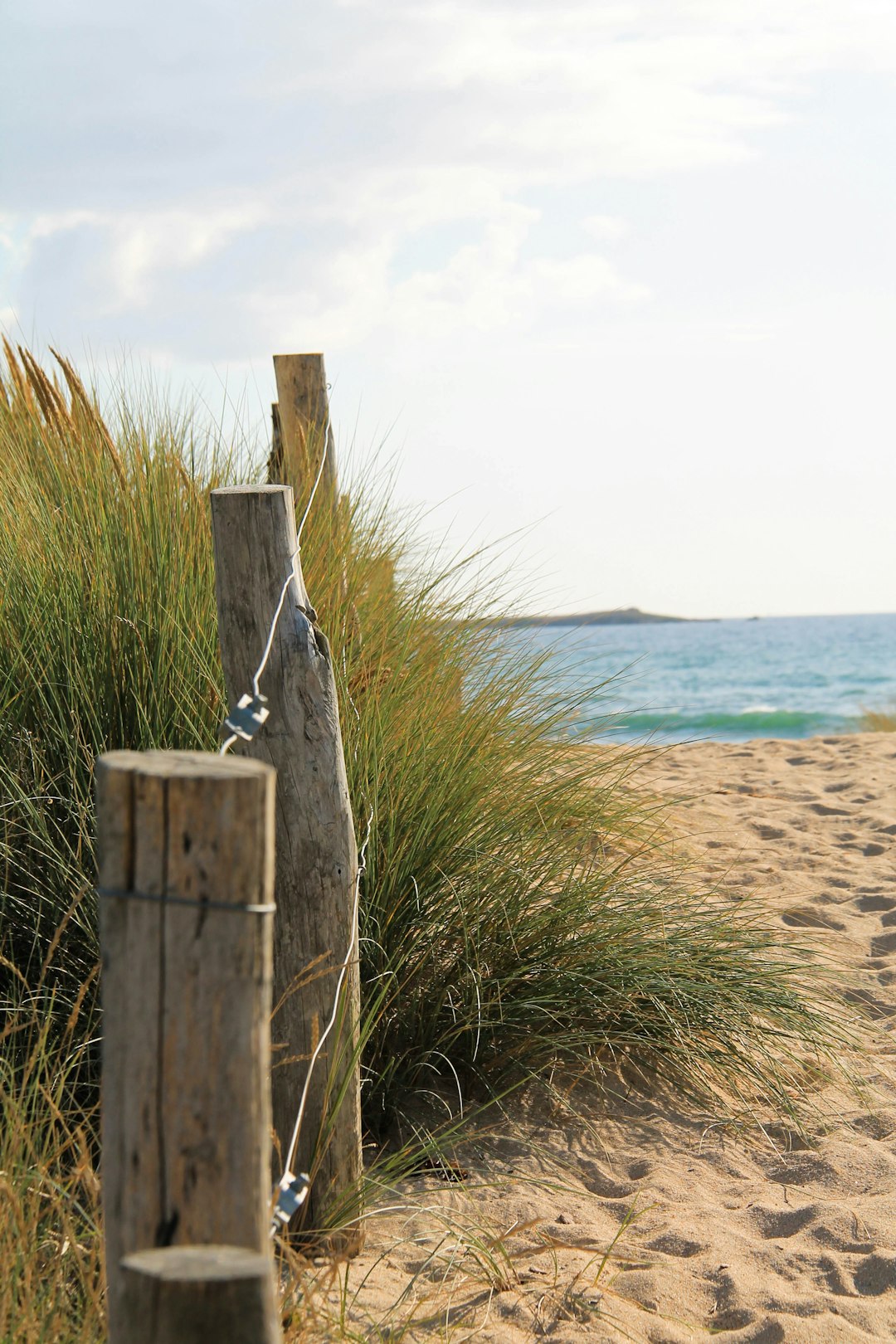 woman in gray long sleeve shirt standing on brown wooden post near body of water during