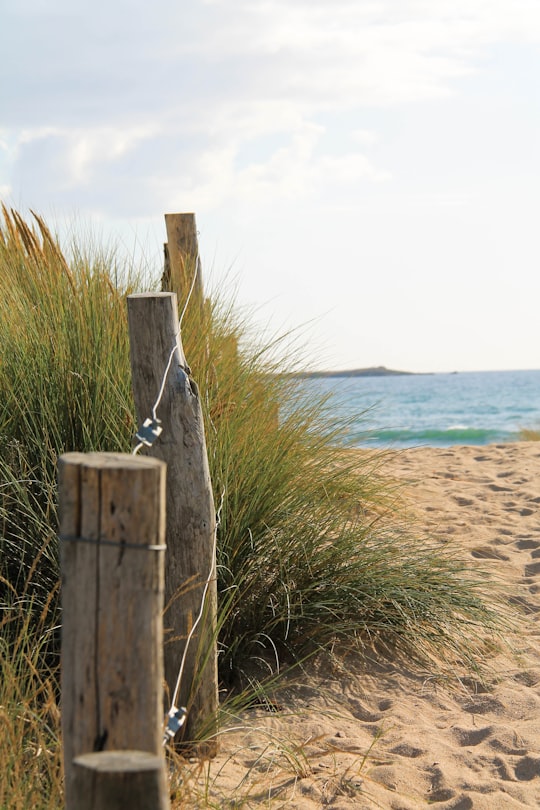 woman in gray long sleeve shirt standing on brown wooden post near body of water during in Quiberon France