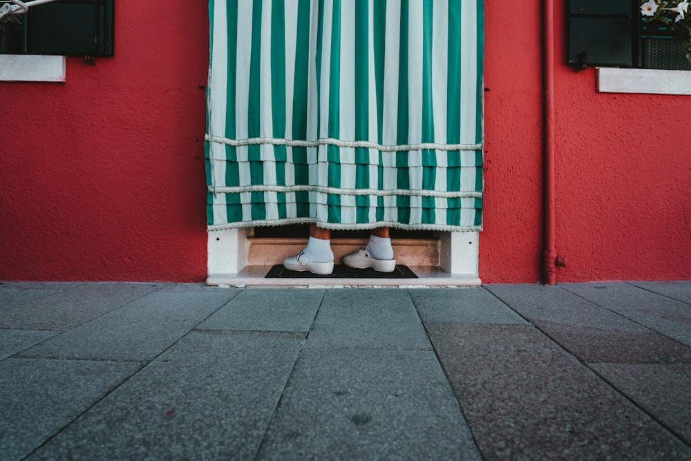 white and brown pet bed beside green and red wall