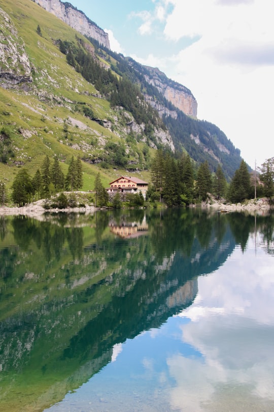 green and brown mountains beside lake during daytime in Seealpsee Switzerland