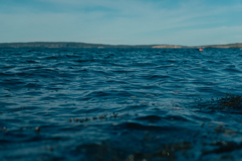 blue ocean water under blue sky during daytime