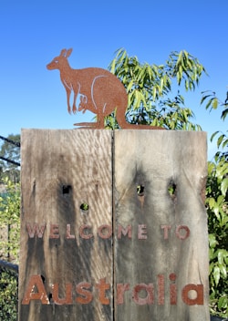 brown squirrel on brown wooden fence during daytime