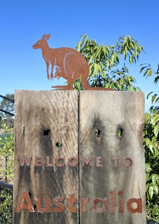 brown squirrel on brown wooden fence during daytime