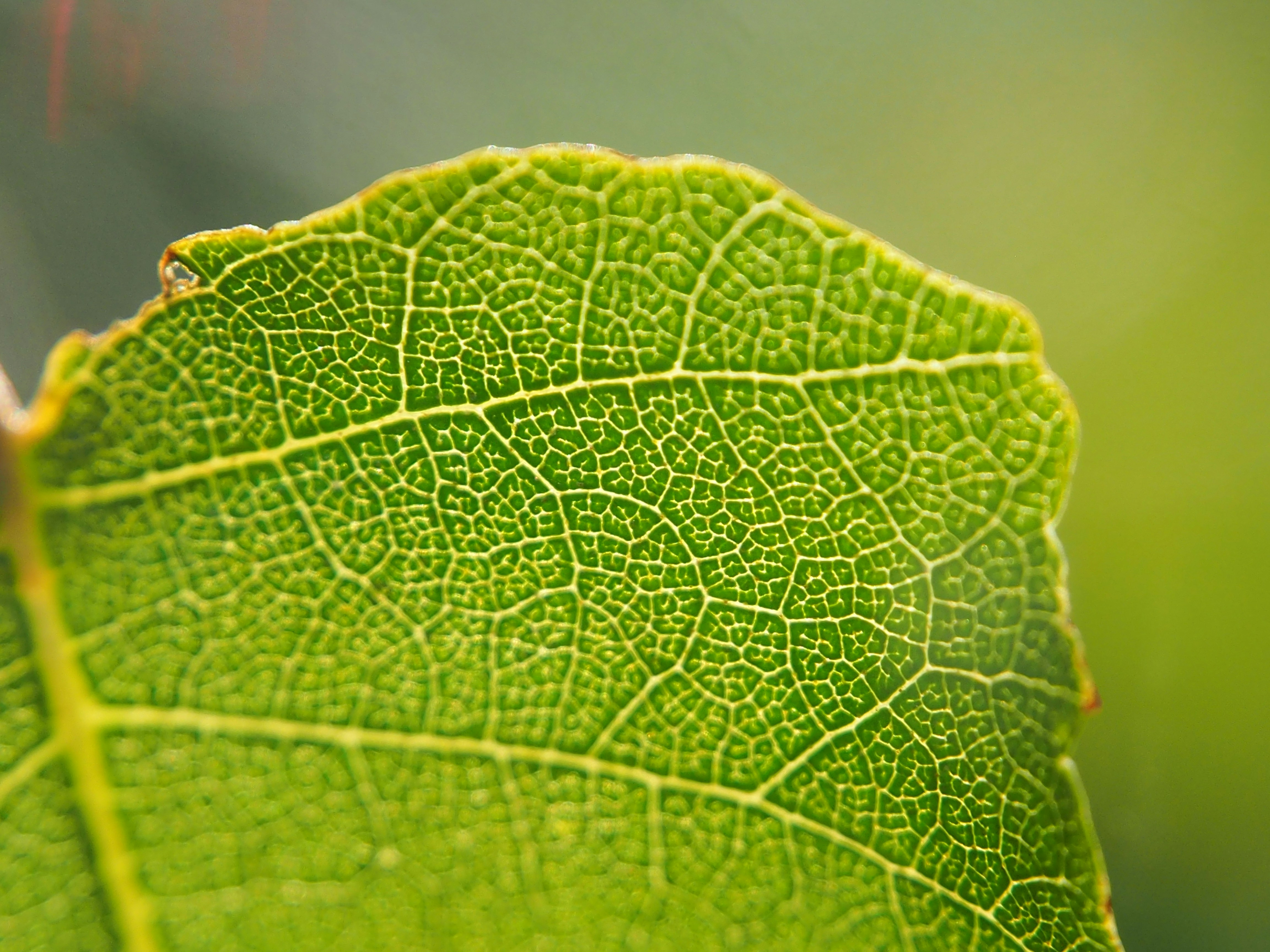 Photo by boarderbloke