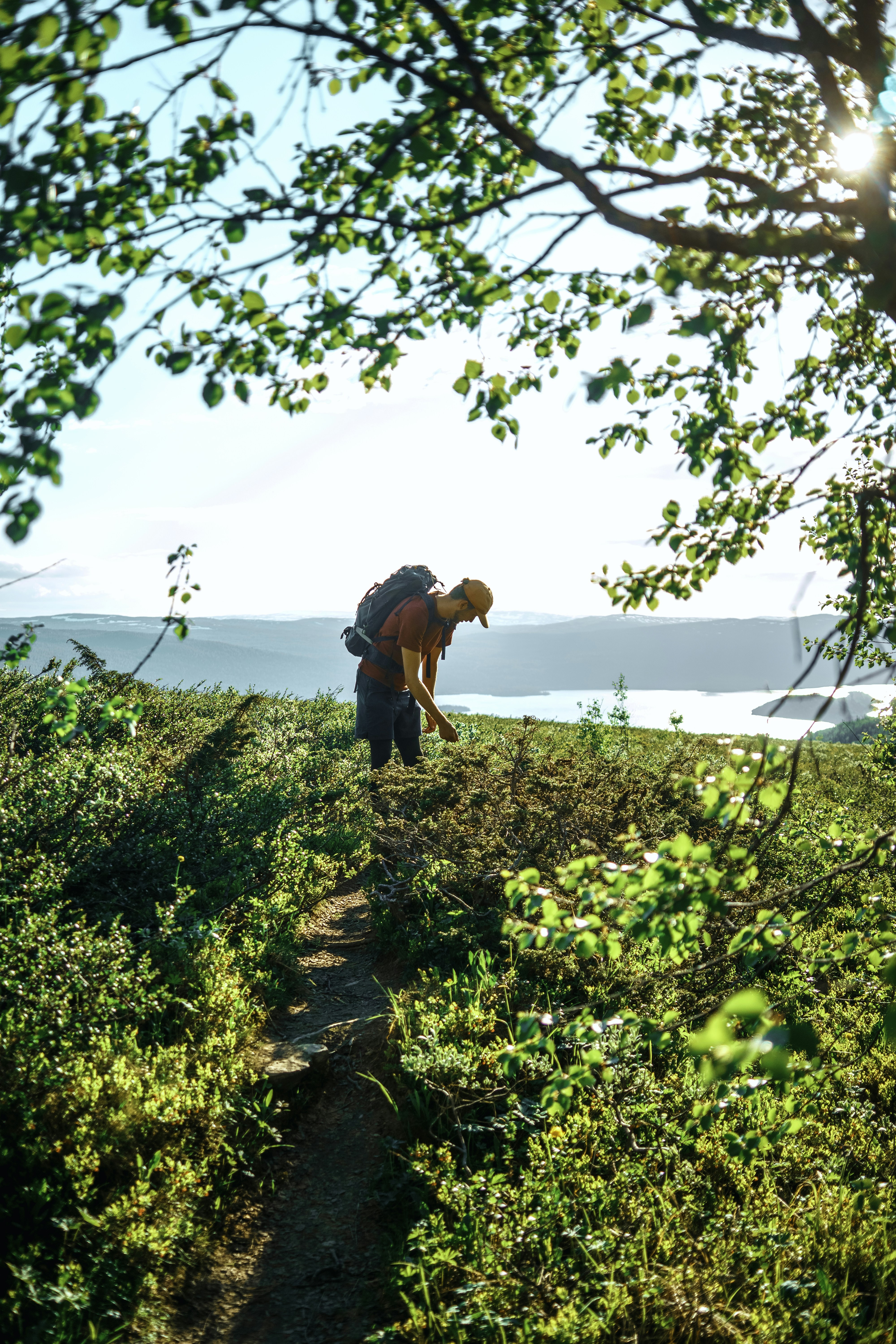 Photo by karljkhedin