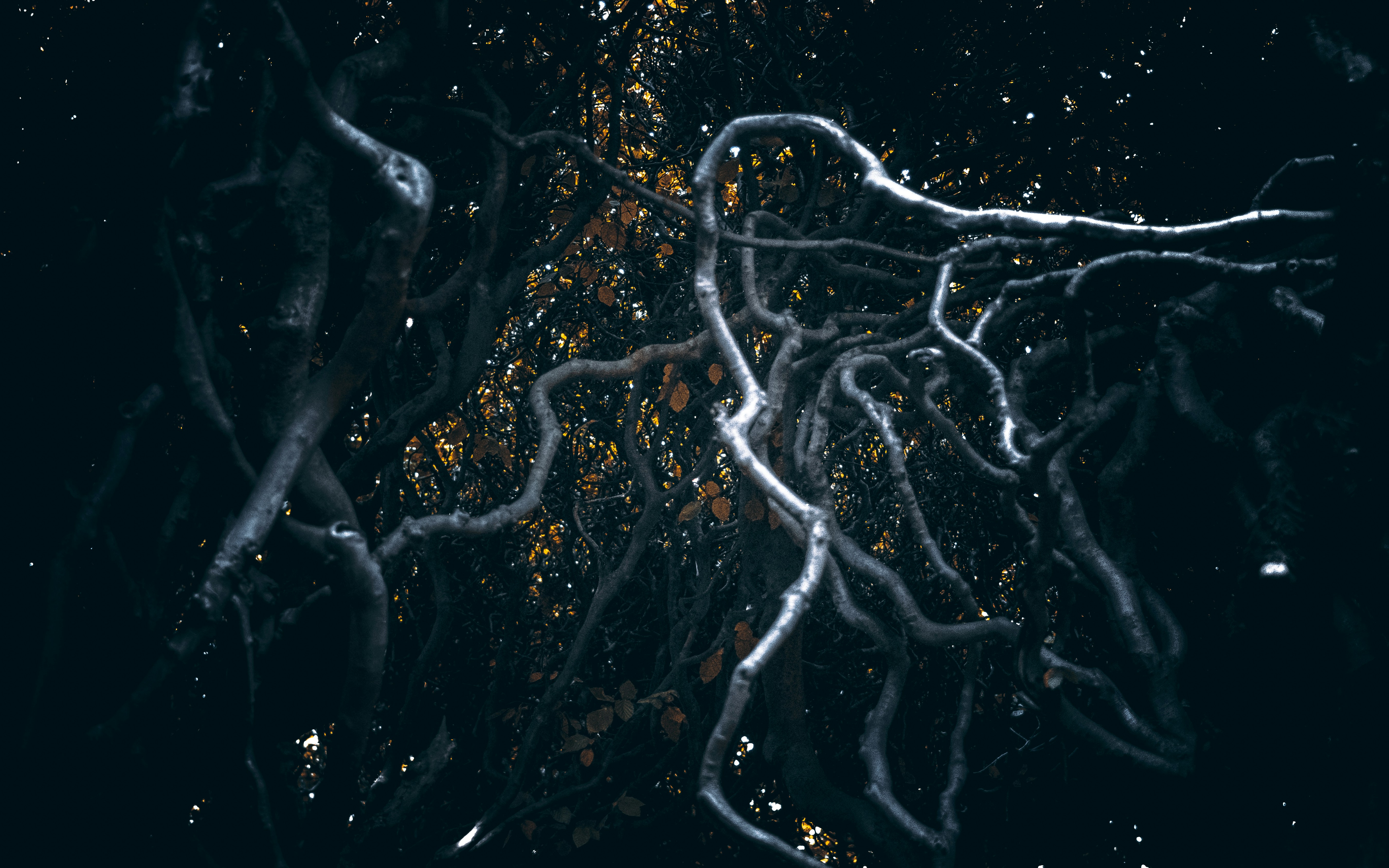 Photo by dead__angel_