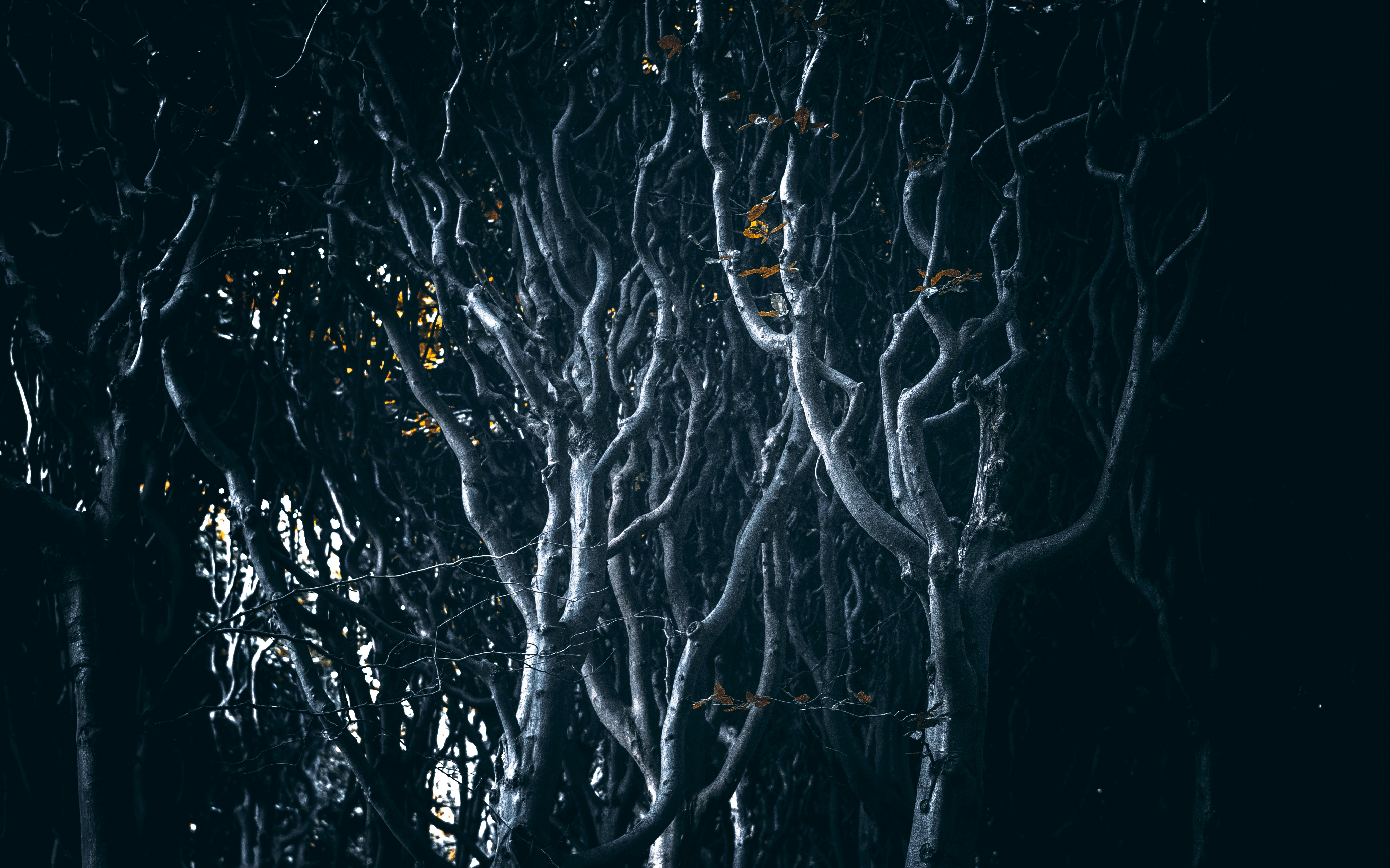 Photo by dead__angel_