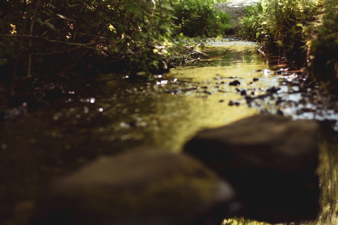 Watercourse photo spot Vejle Denmark