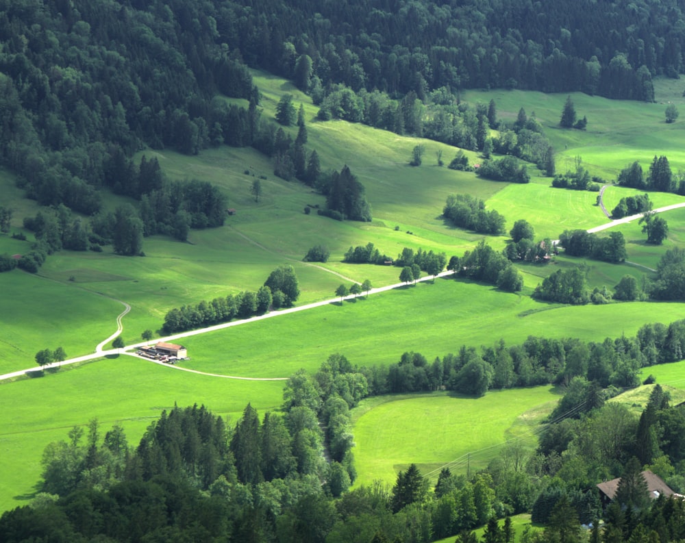 Avión blanco volando sobre campo de hierba verde durante el día