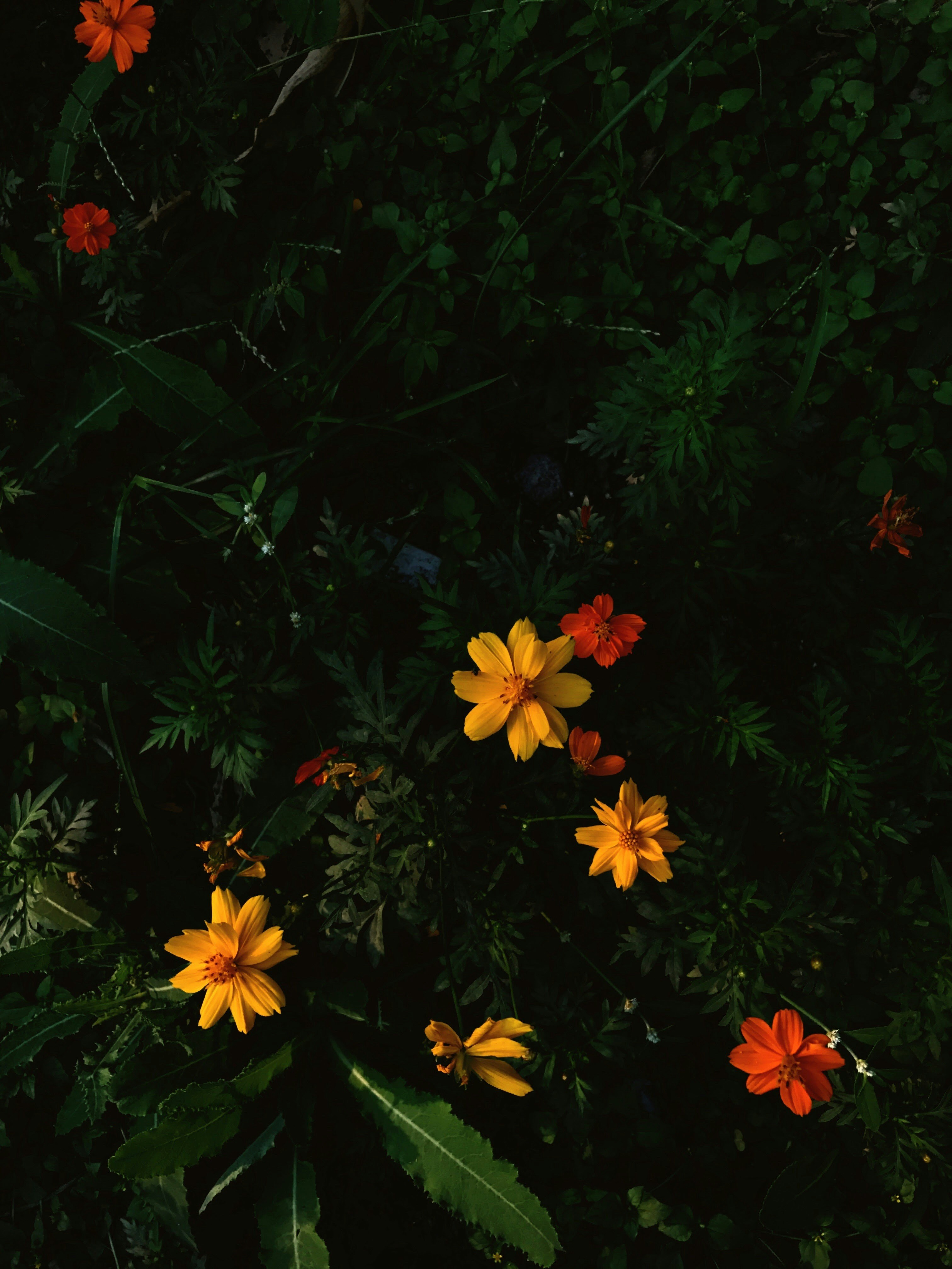 Photo by shotsbyaniketpatil