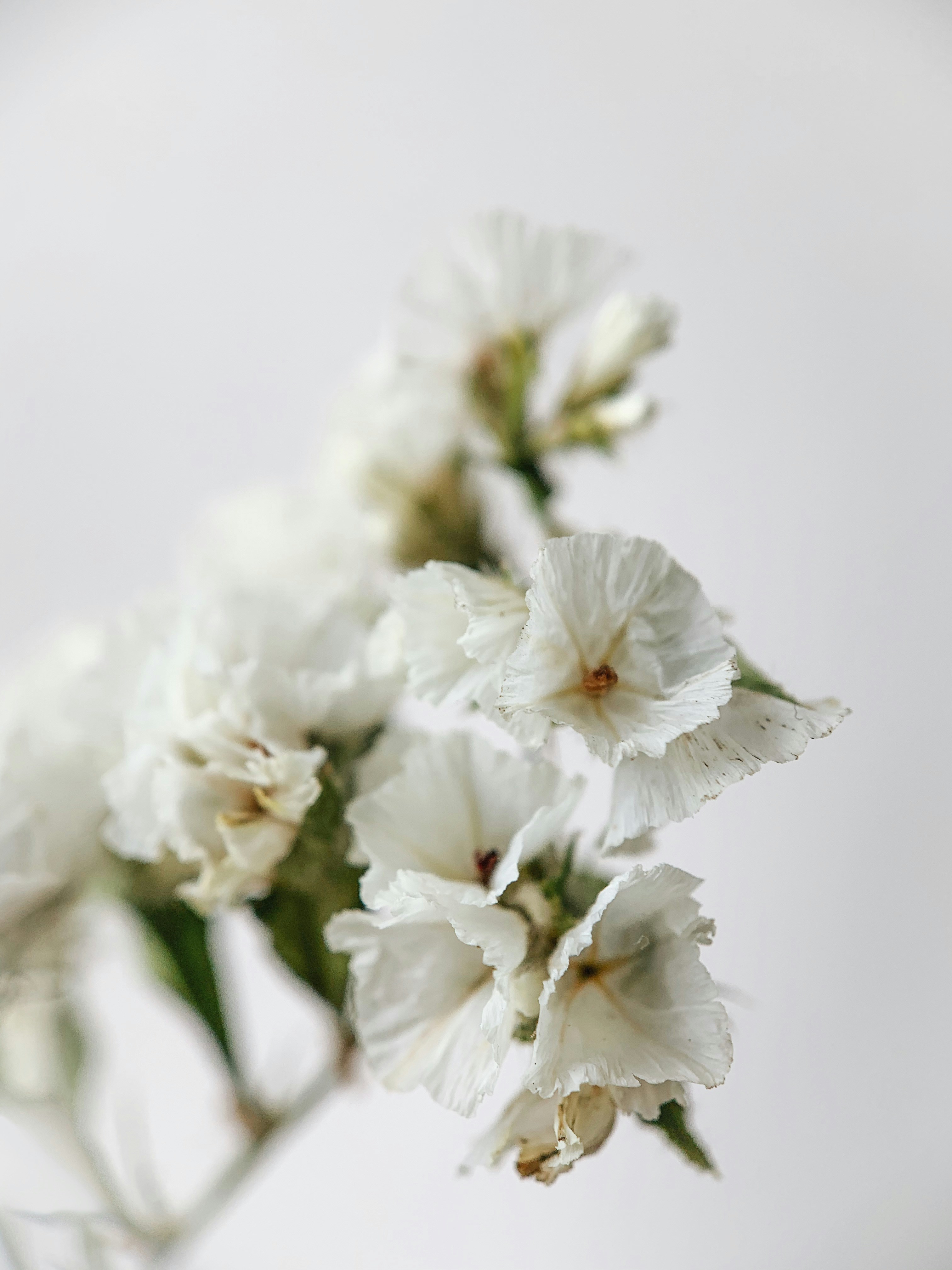 Photo by kateivanova__