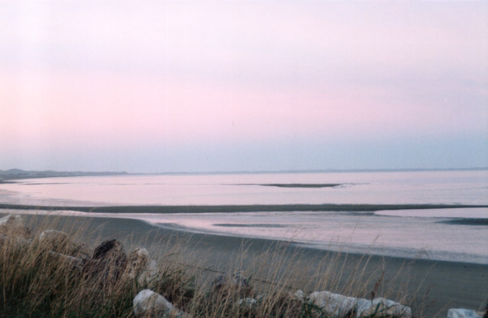 gray sand near body of water during daytime