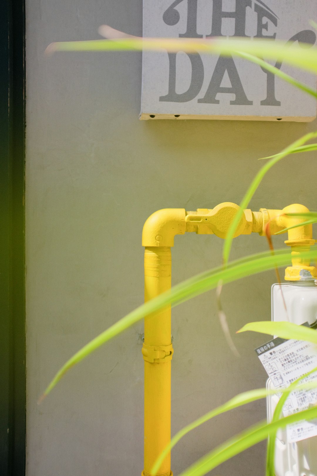 yellow hose on green wall