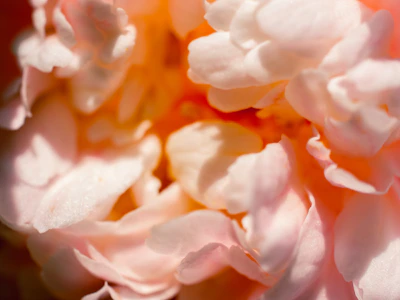 A close-up of delicate floral patterns blending softly with pastel makeup shades.
