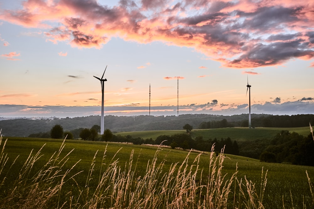 Champ d’herbe verte sous un ciel nuageux pendant la journée