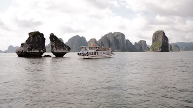 white and black boat on sea during daytime