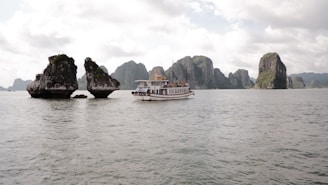 white and black boat on sea during daytime