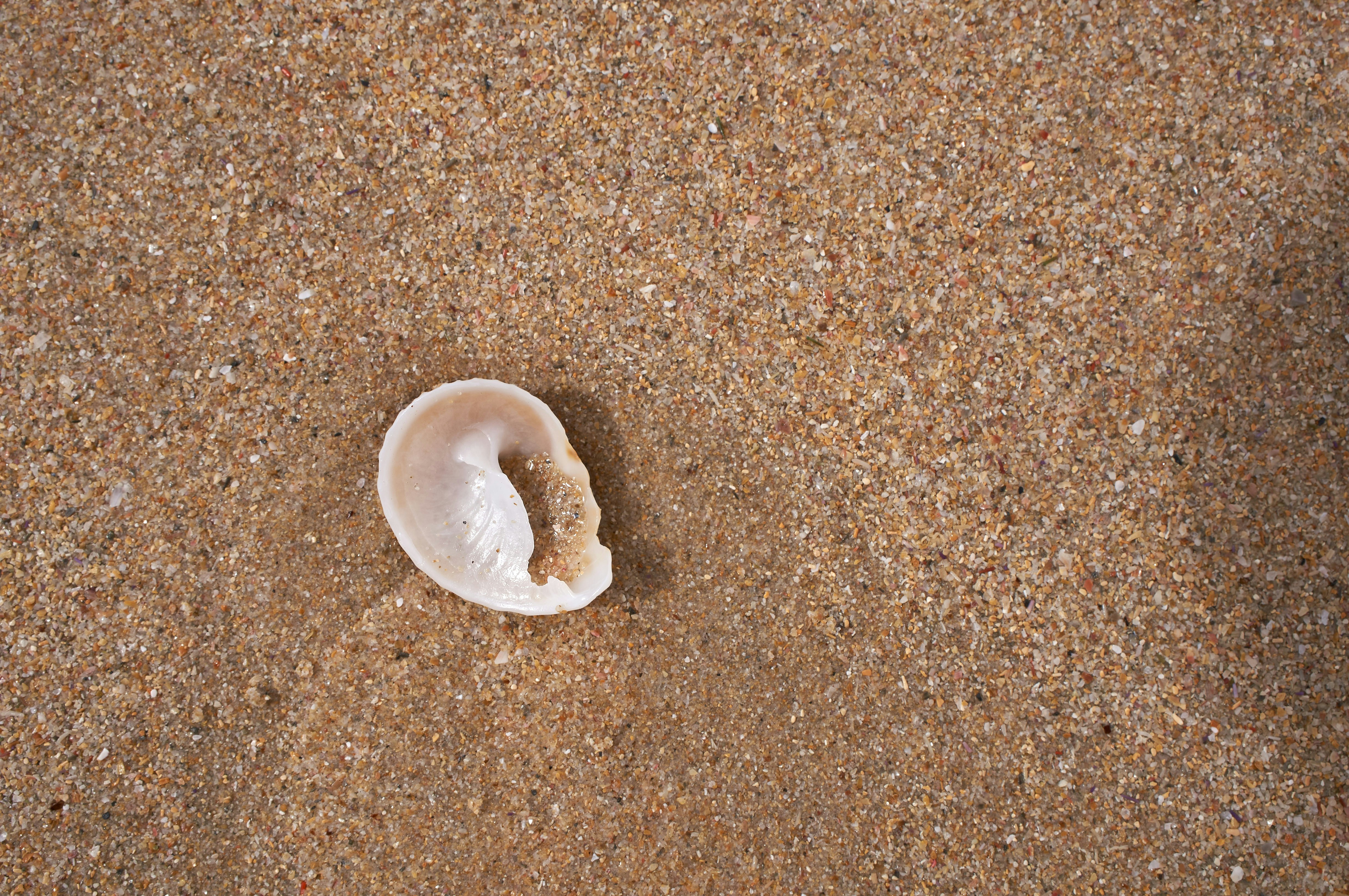 Photo by wolfgang_hasselmann