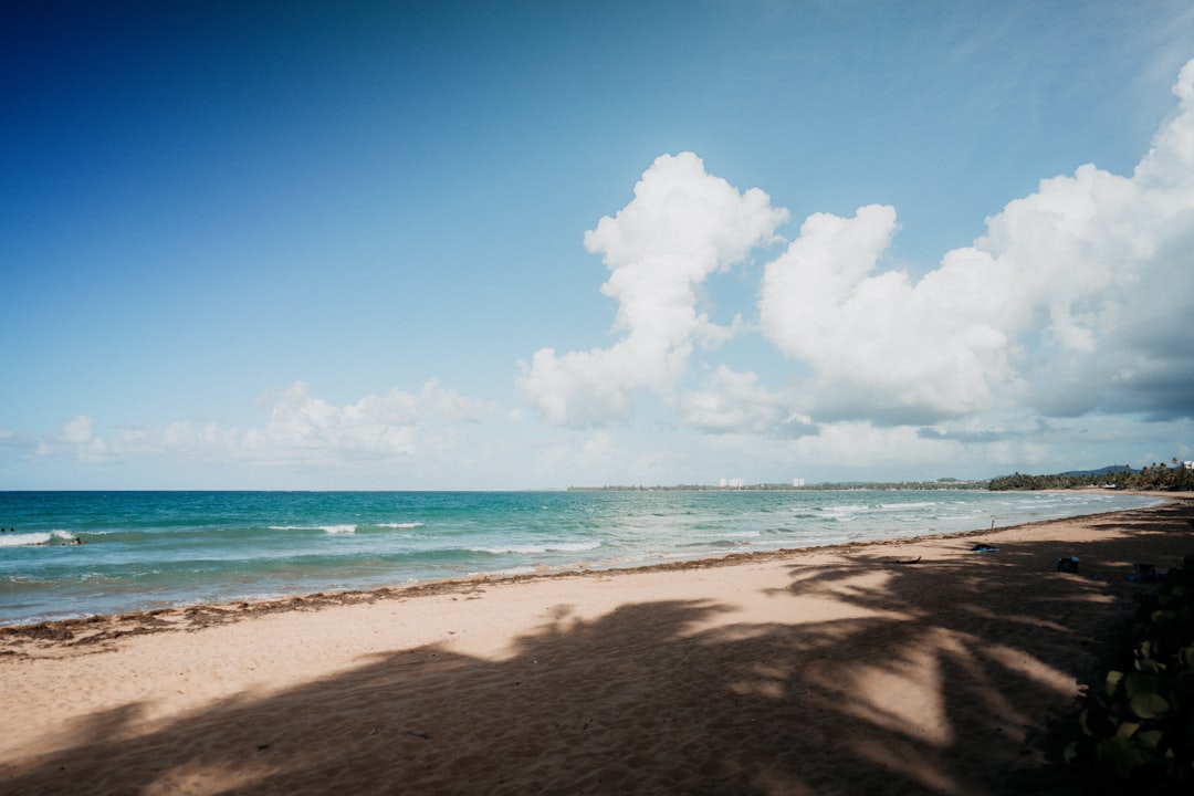 brown sand beach under blue sky during daytime